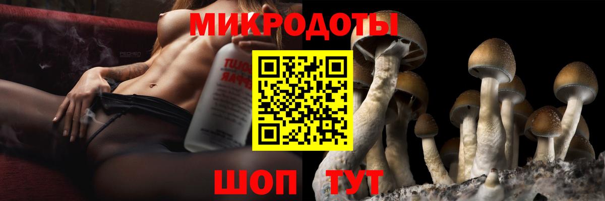 Калининград  Псилоцибиновые грибы Cubensis  Псилоцибиновые грибы мицелий  Вход с VPN 
